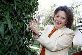 Prof. dr. Snezana Veljkovic