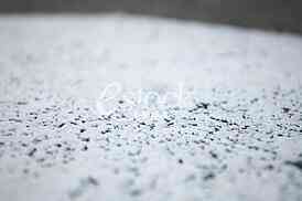 white line base on  of asphalt texture