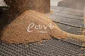 Agriculture