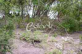 Place where he found the corpse of a Chinese citizen