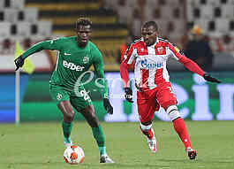 Fudbal - Utakmica Zvezda - Ludogorec