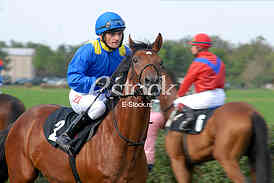 Ljubicevo Equestrian Games
