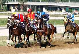 Hippodrome Belgrade hippodrome, and 100 years of equestrian sport horses and equestrian sports, horse