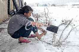 Migrants 