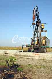 Oil