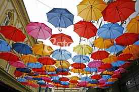 umbrellas in different colors 
