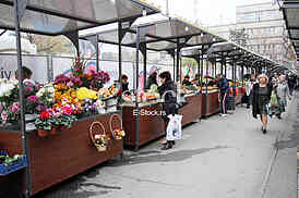  Market Palilula