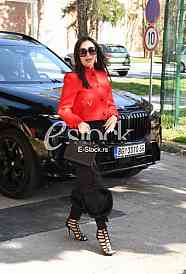 Svetlana Ceca Raznatovic