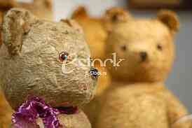Exhibition teddy bears toys