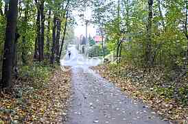Jajinci
