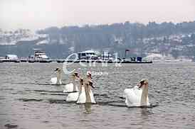River Danube
