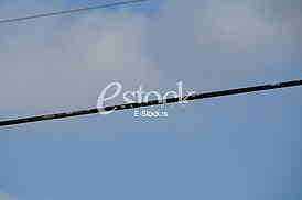 Pozar na Cukarici