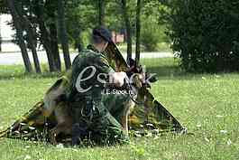 Army of Serbia
