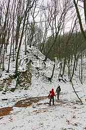 Fruska gora