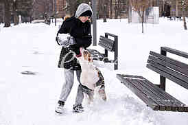 winter