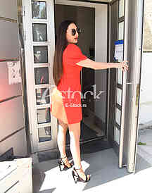 Svetlana Ceca Raznatovic
