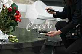 Pomen Milutinu Mrkonjicu