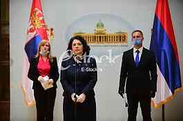 Dijana Vukamnovic, Sanda Raskovic Ivic, Miroslav Aleksic