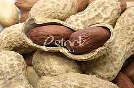 Peanut