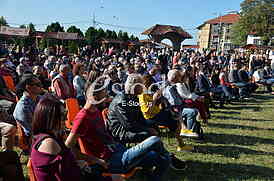 Topola Oplenacka berba