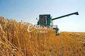 Agriculture