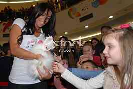 Cat show