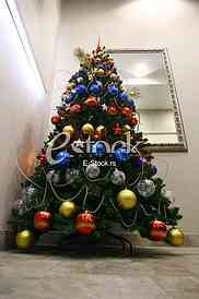 Christmas tree in a full length