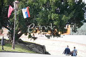 Zastave Srbije i Turske
