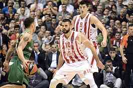 Red Star- Panathinaikos basketball game