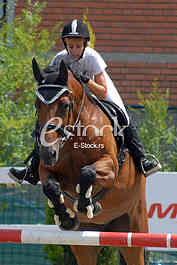 Equestrian Sport