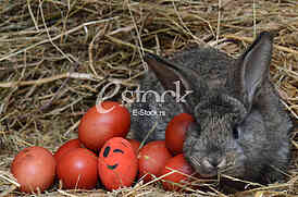 Easter eggs