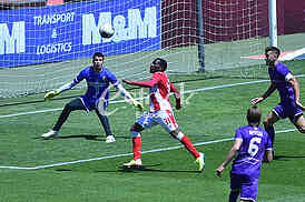 Crvena zvezda-Graficar