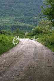 Rural road Country road, green trees and forest nature
