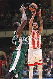 CRVENA ZVEZDA vs PANATHINAIKOS ATHENS