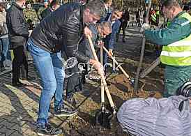 planting trees, military barracks 