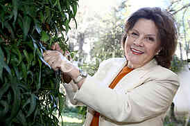 Prof. dr. Snezana Veljkovic