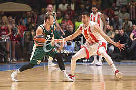 CRVENA ZVEZDA vs PANATHINAIKOS ATHENS