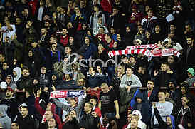 Crvena zvezda vs Tottenham