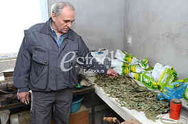 Zoran Veselinovic herbalist