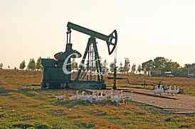 Oil