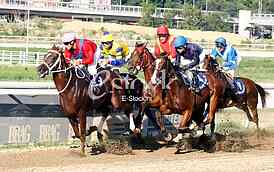 Hippodrome Belgrade hippodrome, and 100 years of equestrian sport horses and equestrian sports, horse