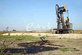 Oil