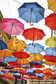 umbrellas in different colors 