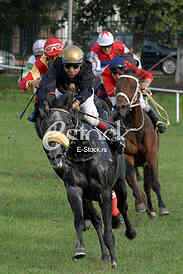 Ljubicevo Equestrian Games
