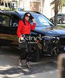 Svetlana Ceca Raznatovic