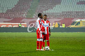 FUDBAL - Super liga Srbije: Crvena zvezda - Radnik Surdulica