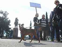 Street protest in Podgorica