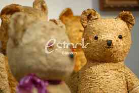Exhibition teddy bears toys