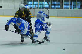 Ice hockey