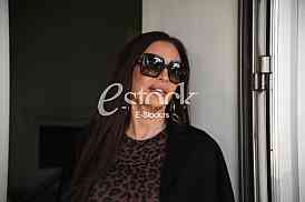 Ceca Raznatovic